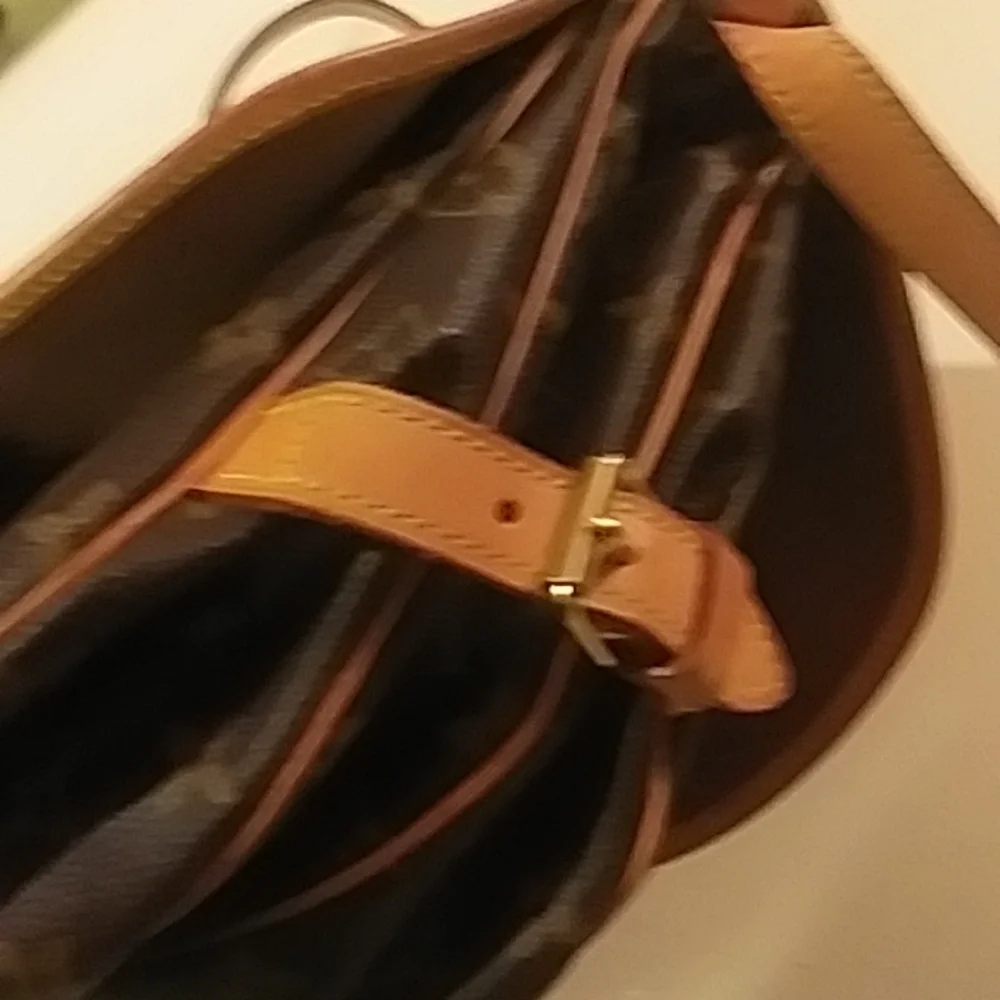 Authentic louis vuitton bag - Picture 3 of 16